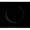 Nocturnix