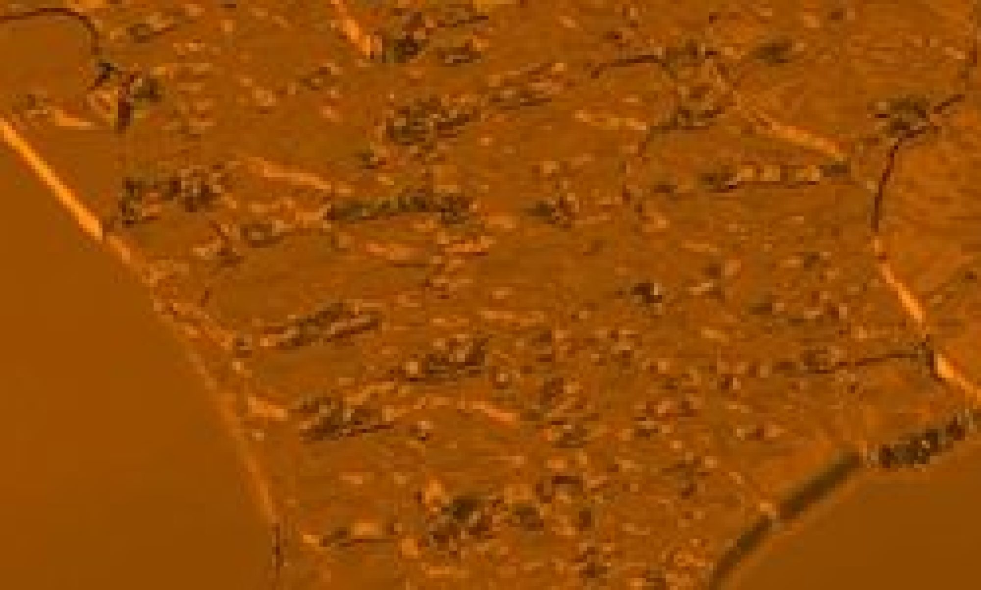 cropped Untitled e1757780649937